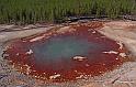 065 yellowstone, norris geyser basin, echinus geyser